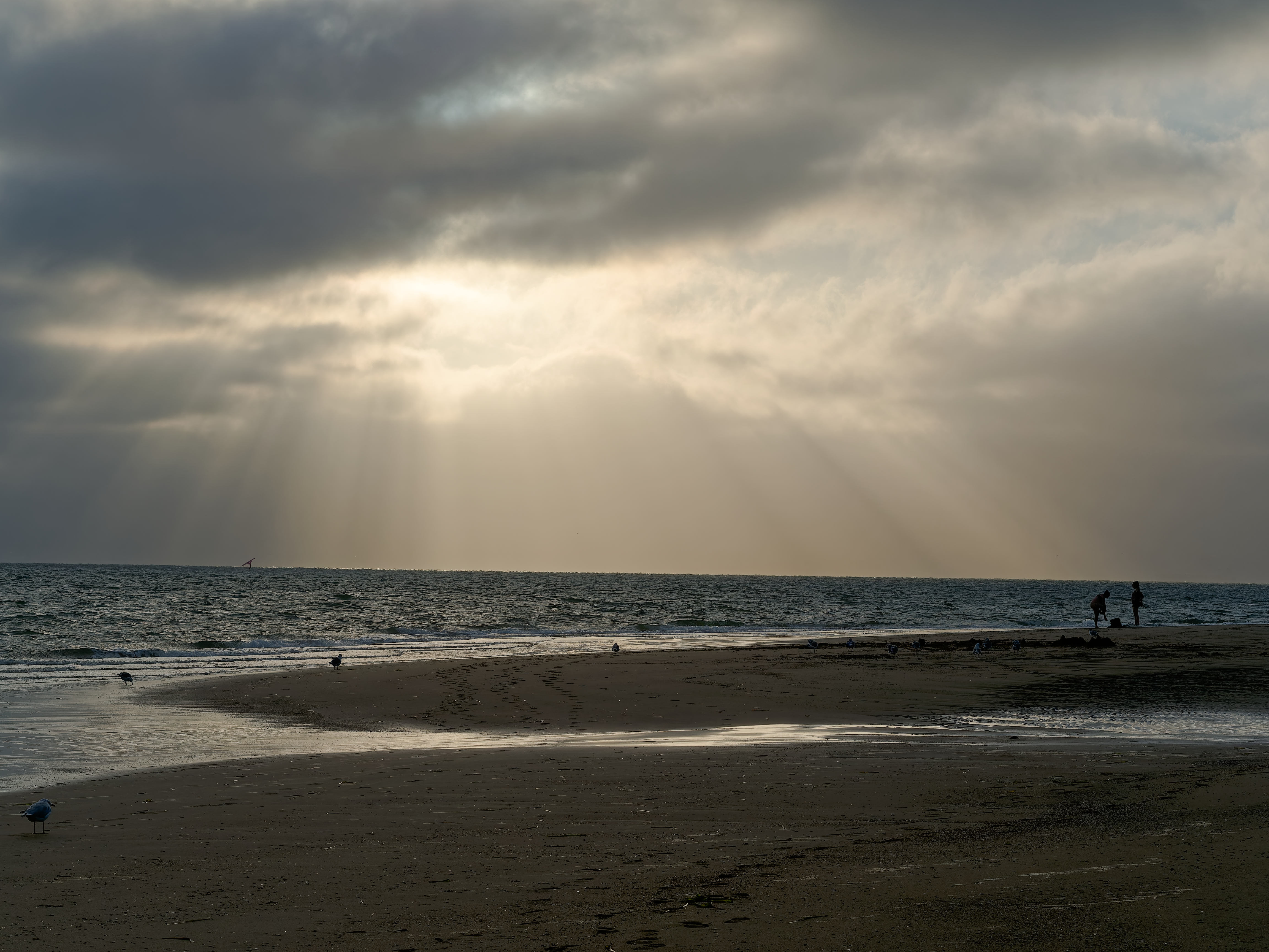 A beautiful view in Alameda beach