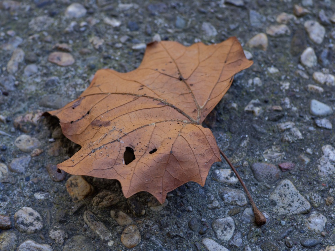 How I built this portfolio ground up (TLDR)