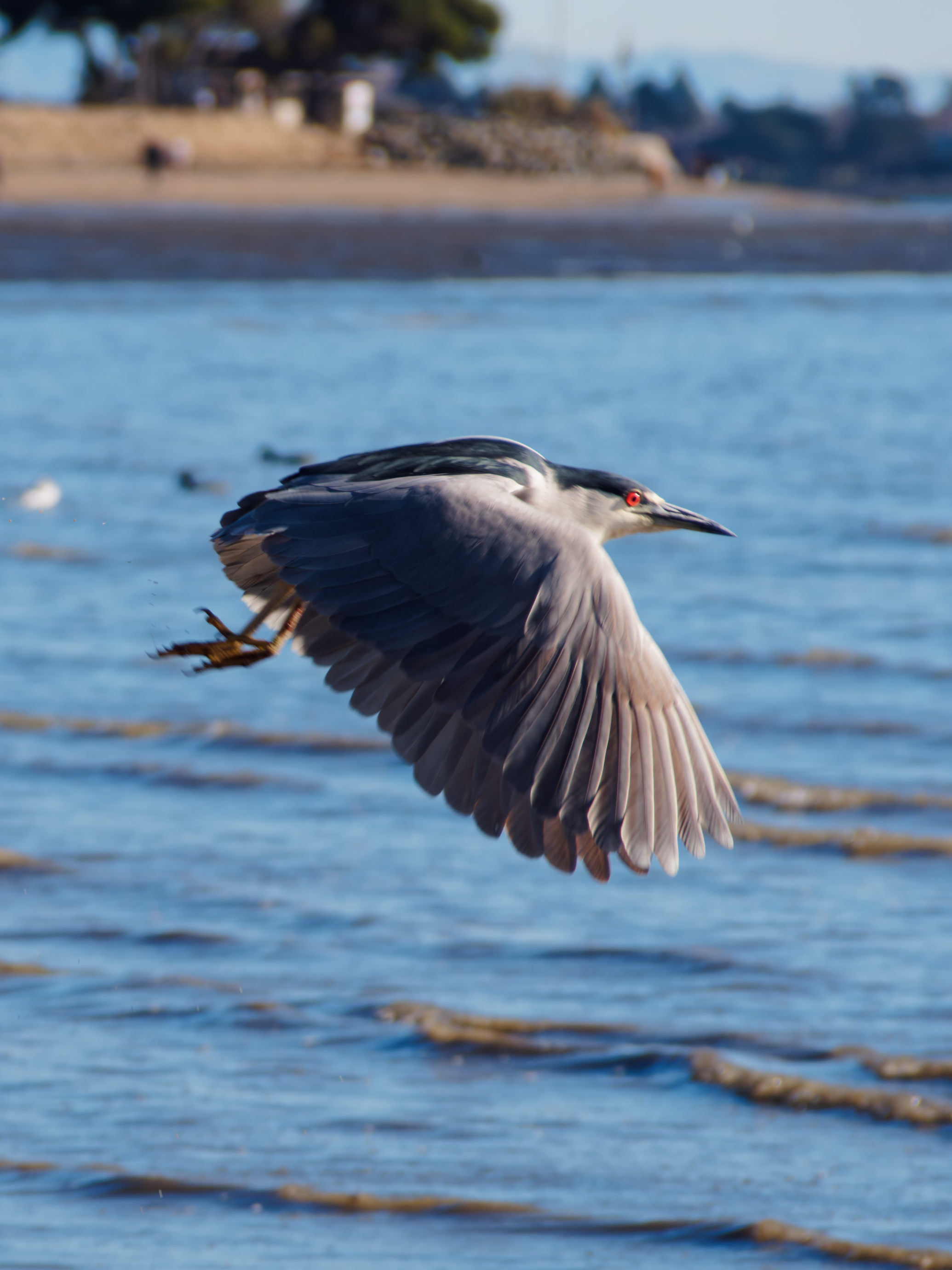 Sunset at Mile Rock Beach