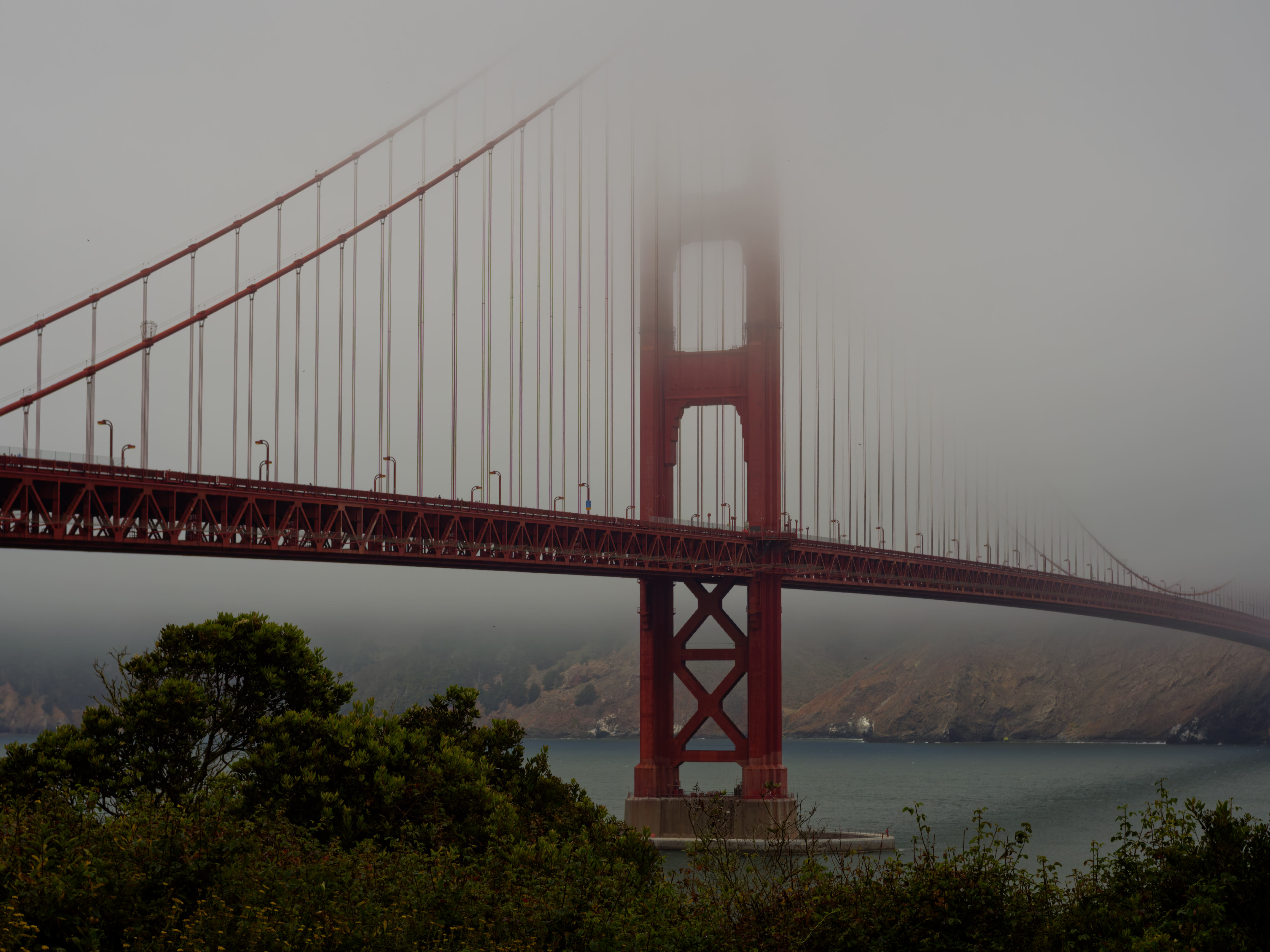 Dreamy fog near golden gate