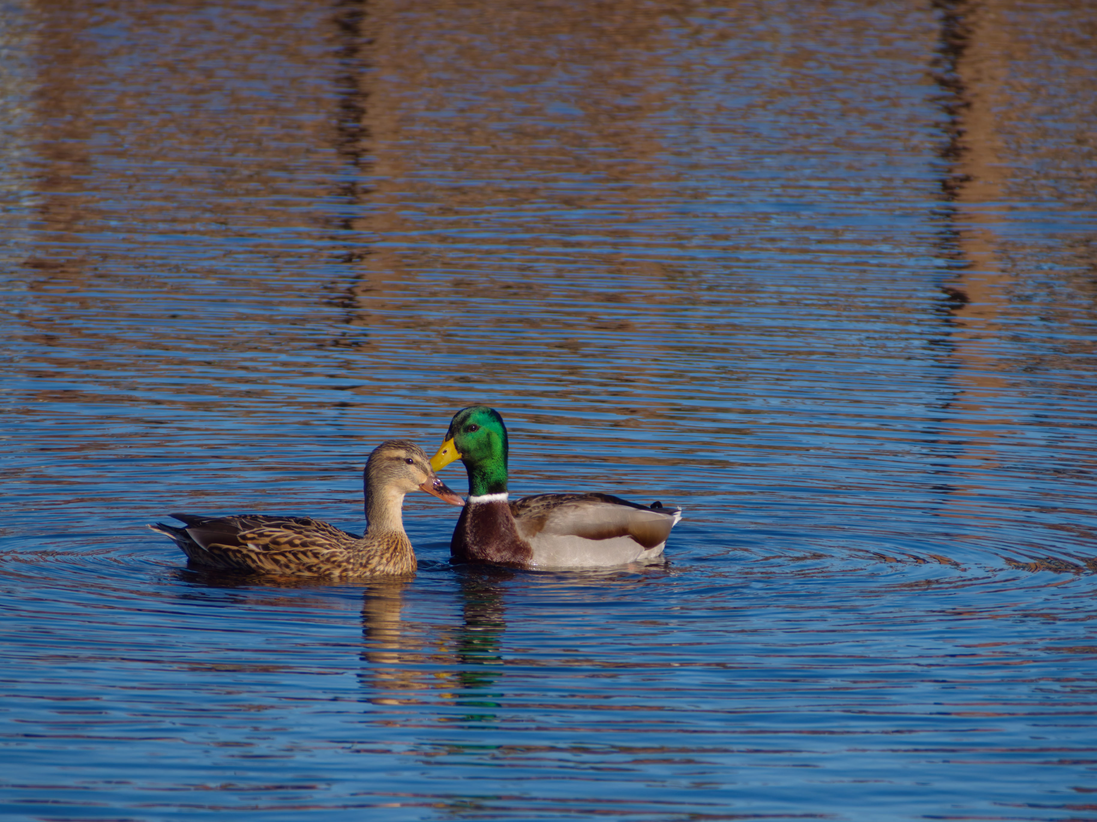 Sunset at Mile Rock Beach